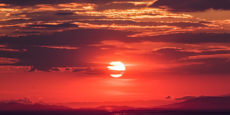 多路直播信号云端观赛界面