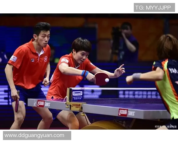 乒乓球的魅力之旅：深入探访上海乒乓球队的训练与比赛节奏