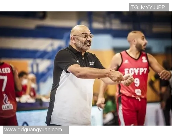 深圳篮球队逆袭之路揭秘：从低谷到巅峰的奋斗与荣耀